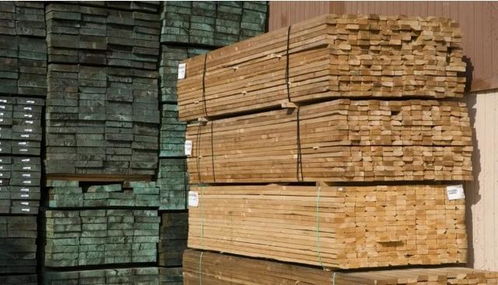 地友资讯 总投资超过4300亿卢布,俄罗斯将继续减少原木出口